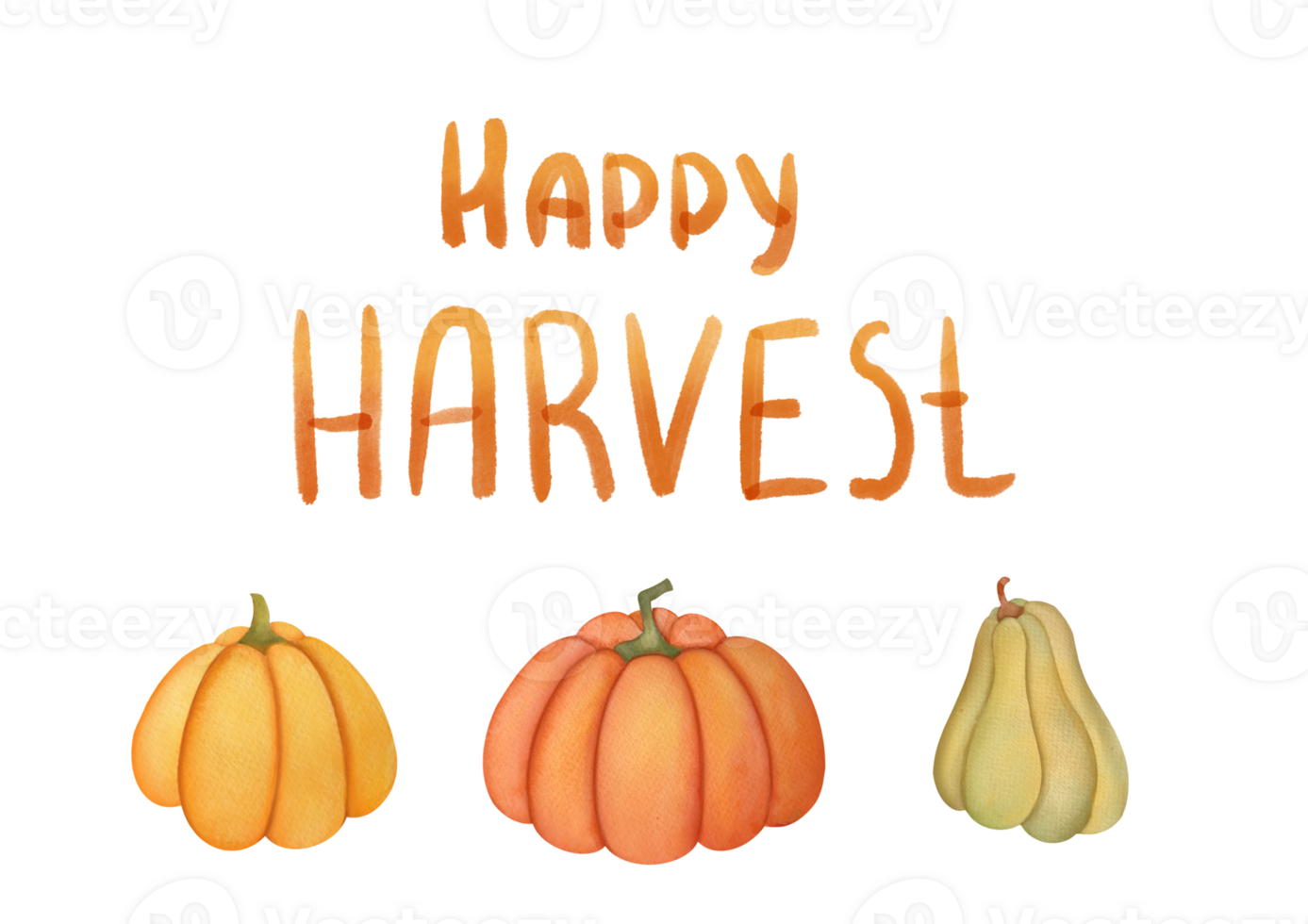 Hand drawn watercolor autumn pumpkins Isolated on transparent background. horizontal fall banner design for greeting, promotion. Thanksgiving decor, autumn harvest card. Garden, farm vegetables png