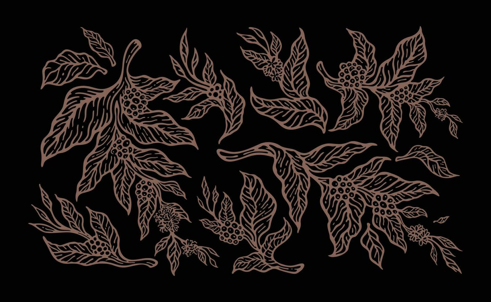 set of coffee tree branches with flowers, leaves and beans. Botany drawing, Line art design. vector