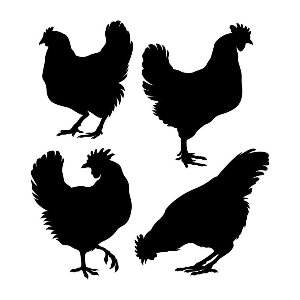 set chicken farm silhouette vector