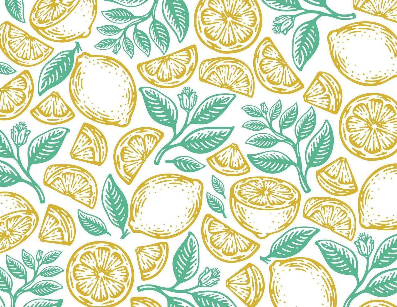 single pattern of lemon fruits in vintage design. vector