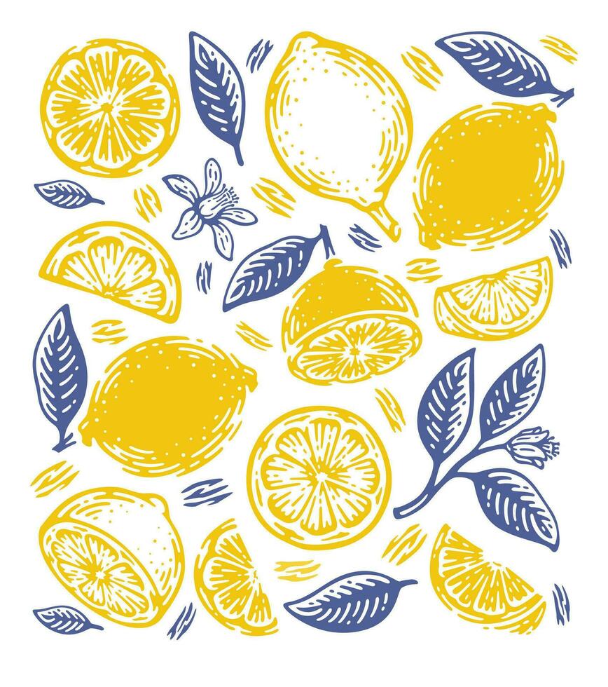Single Pattern of doodle hand drawn lemon. vector