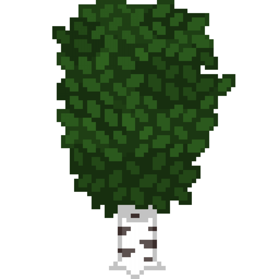 An 8-bit retro-styled pixel-art illustration of a birch tree with vibrant dark green forest leaves. png