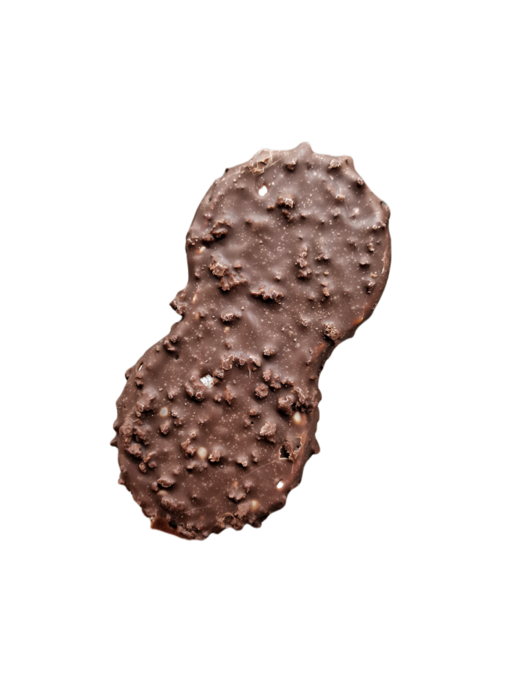 a chocolate peanut butter cookie on a transparent background png