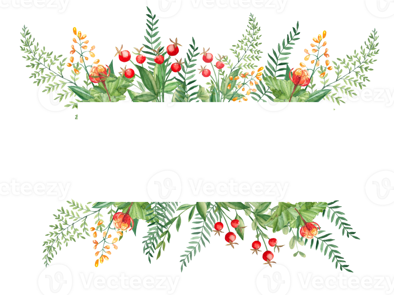 Watercolor floral horizontal frame. Cloudberry leaves and berries, fern, green branches, yellow wildflowers, red berries. Can be used for greeting cards, baby shower, banners, blog templates, logos png