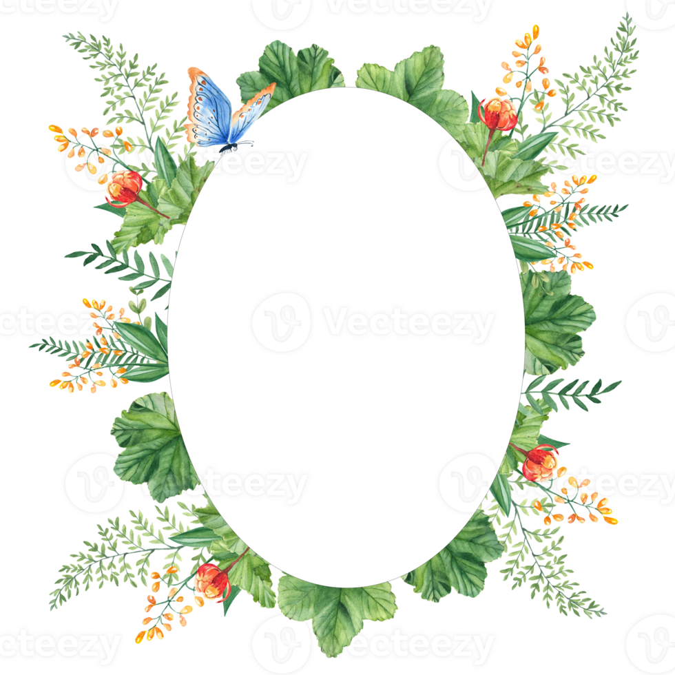 Cloudberry leaves and berries, fern, green branches, yellow wildflowers, blue butterfly. Watercolor oval summer forest frame. Hand drawn botanical illustration. Can be used as invitation card png