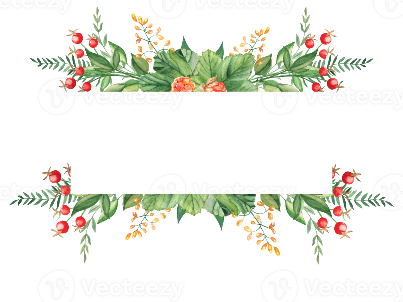 Watercolor floral horizontal frame. Cloudberry leaves and berries, fern, green branches, yellow wildflowers. Can be used for greeting cards, baby shower, banners, blog templates png