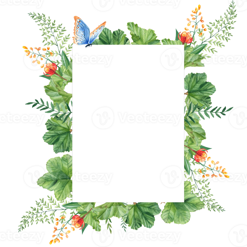 Cloudberry leaves and berries, green branches, yellow wildflowers, blue butterfly. Watercolor vertical summer forest frame. Hand drawn botanical illustration. For invitation card, birthday. png