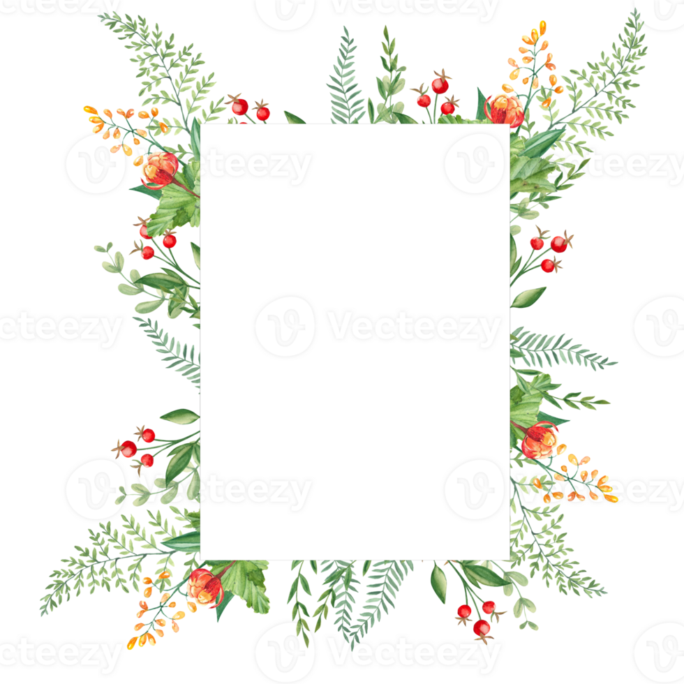 Watercolor forest frame with cloudberries, fern, green branches and red berries. Hand drawn botanical illustration. Can be used as invitation card, for birthday, anniversary, baby shower. png