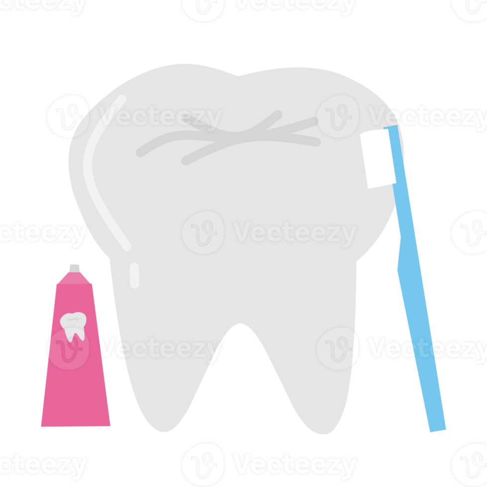 Tooth in Cartoon Style png