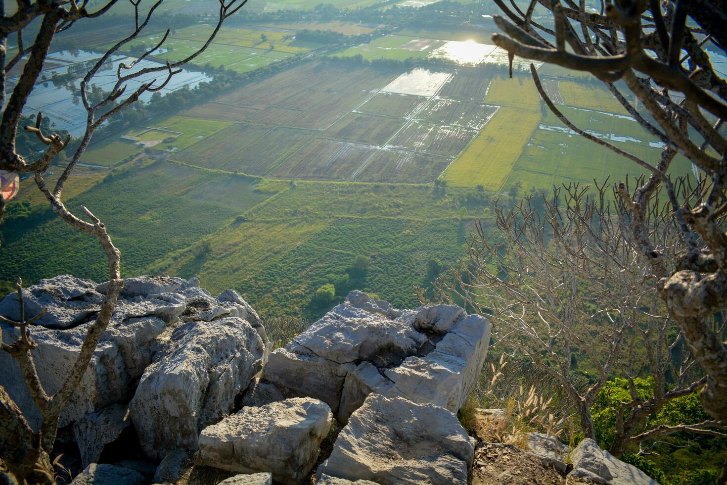 The view on the top of the mountain looking down is the farmland. green area, in the morning photo