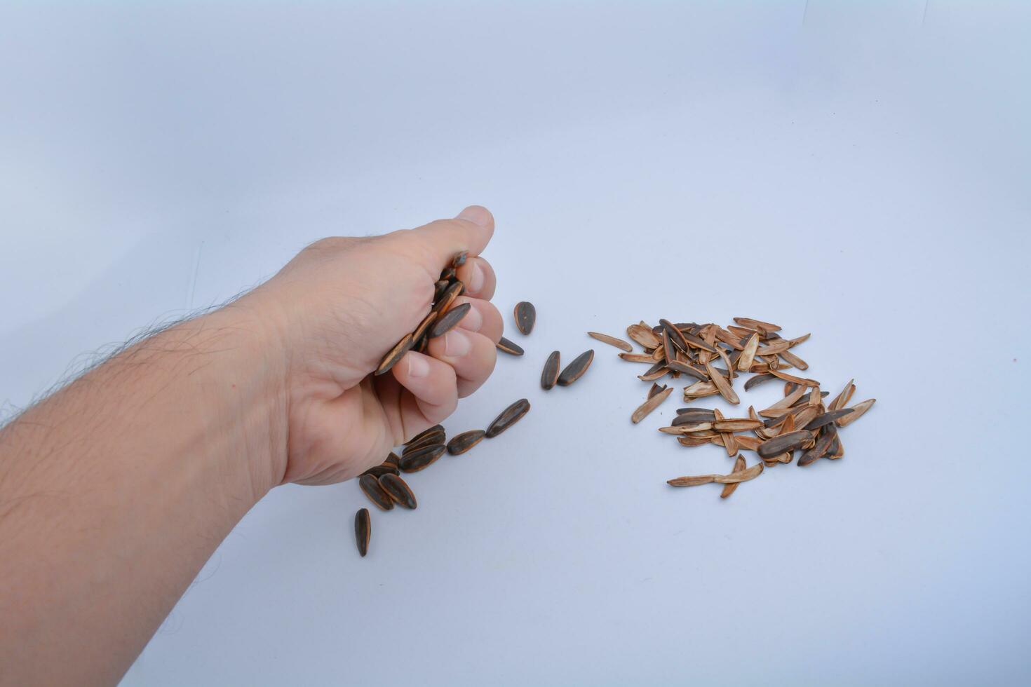 Sunflower seeds in the hands of a man on a white background photo