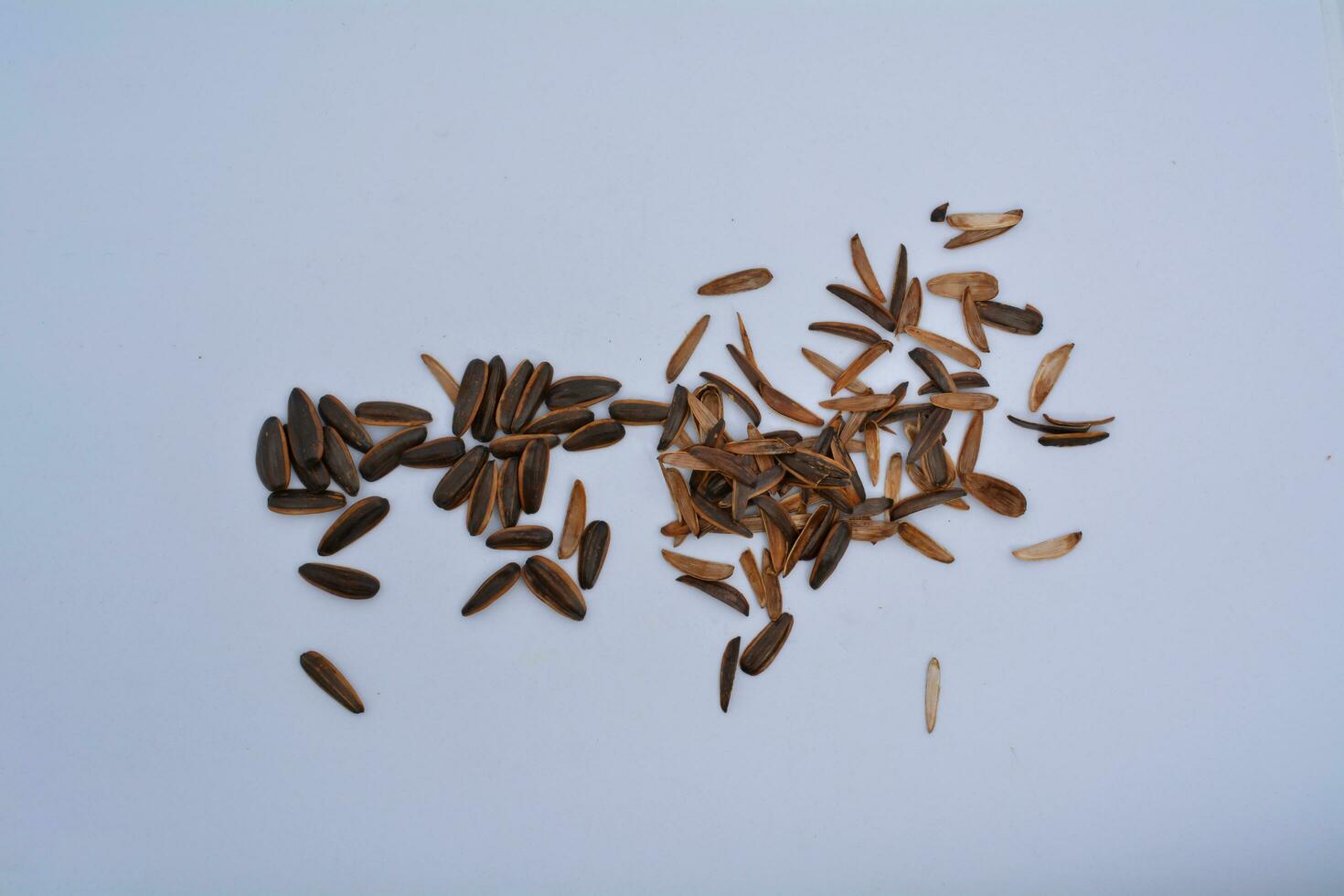 Sunflower seeds in the hands of a man on a white background photo