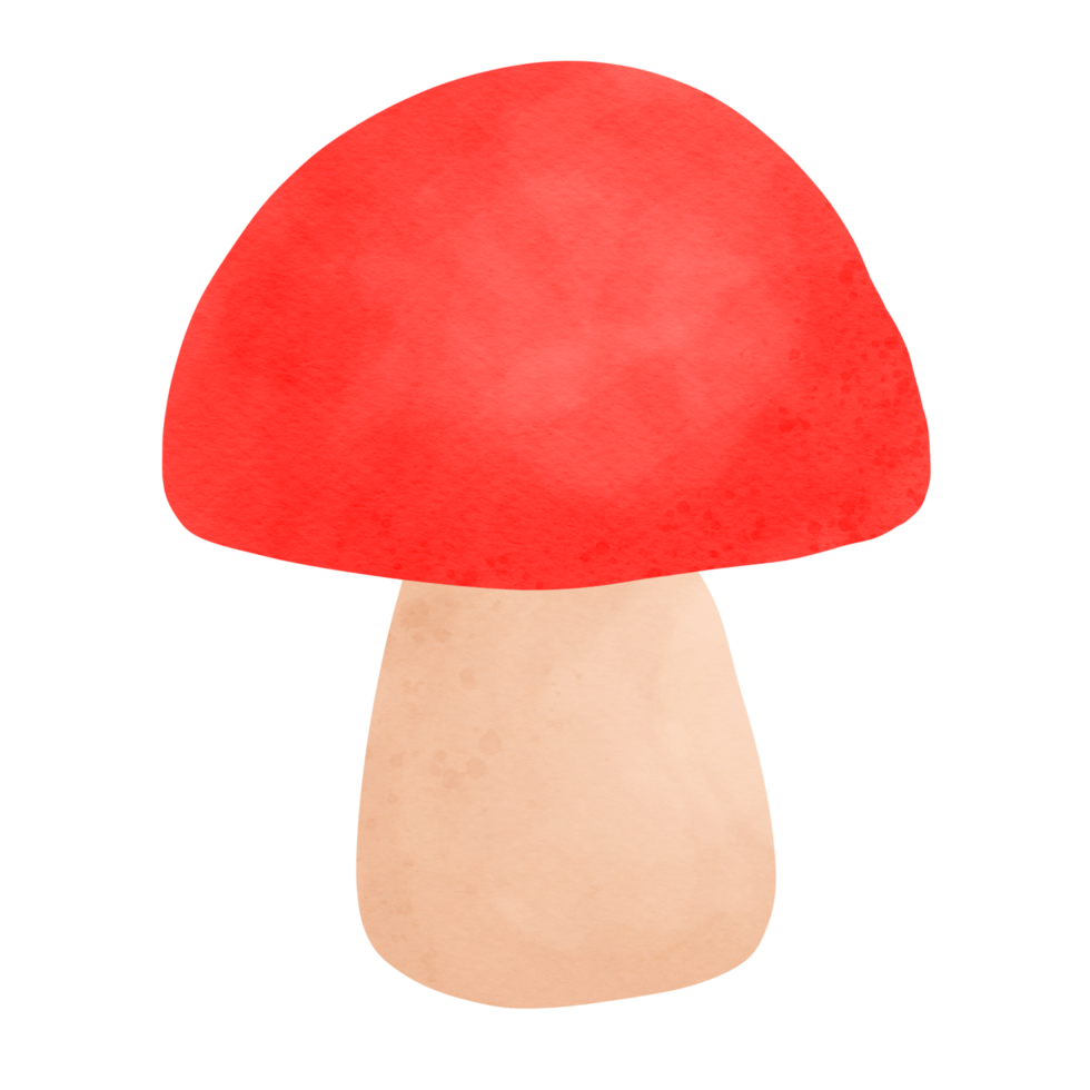 champignon, dessin animé, champignon png