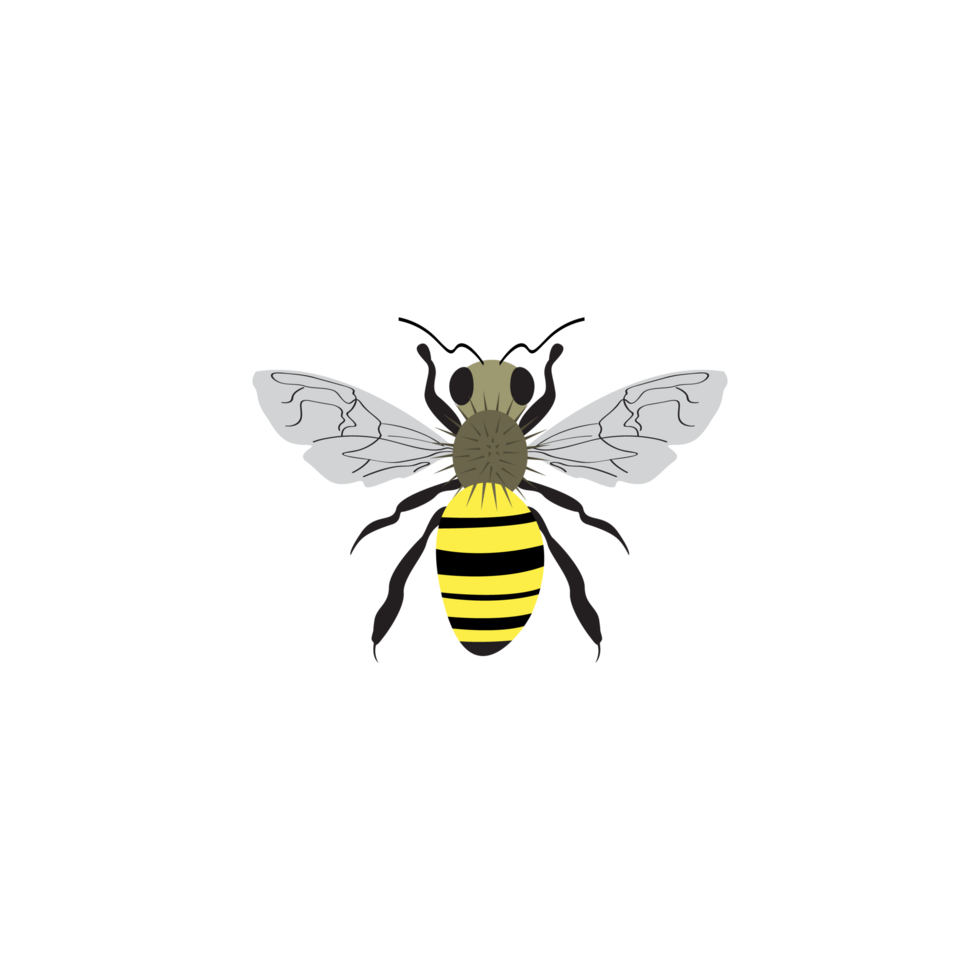 Honey Bee, Sketch of a bee, illustration animal of honeybee on transparent background PNG