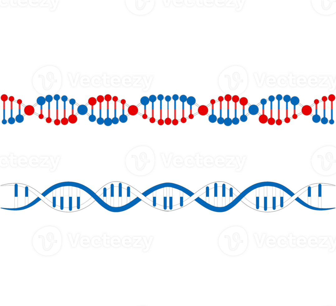 DNA molecule. Medical science, genetic biotechnology, chemistry biology, gene cell concept, Molecular Structure Of DNA, science design elements, Molecular Structure Of DNA, png