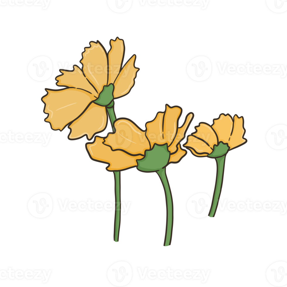 the yellow flowers png