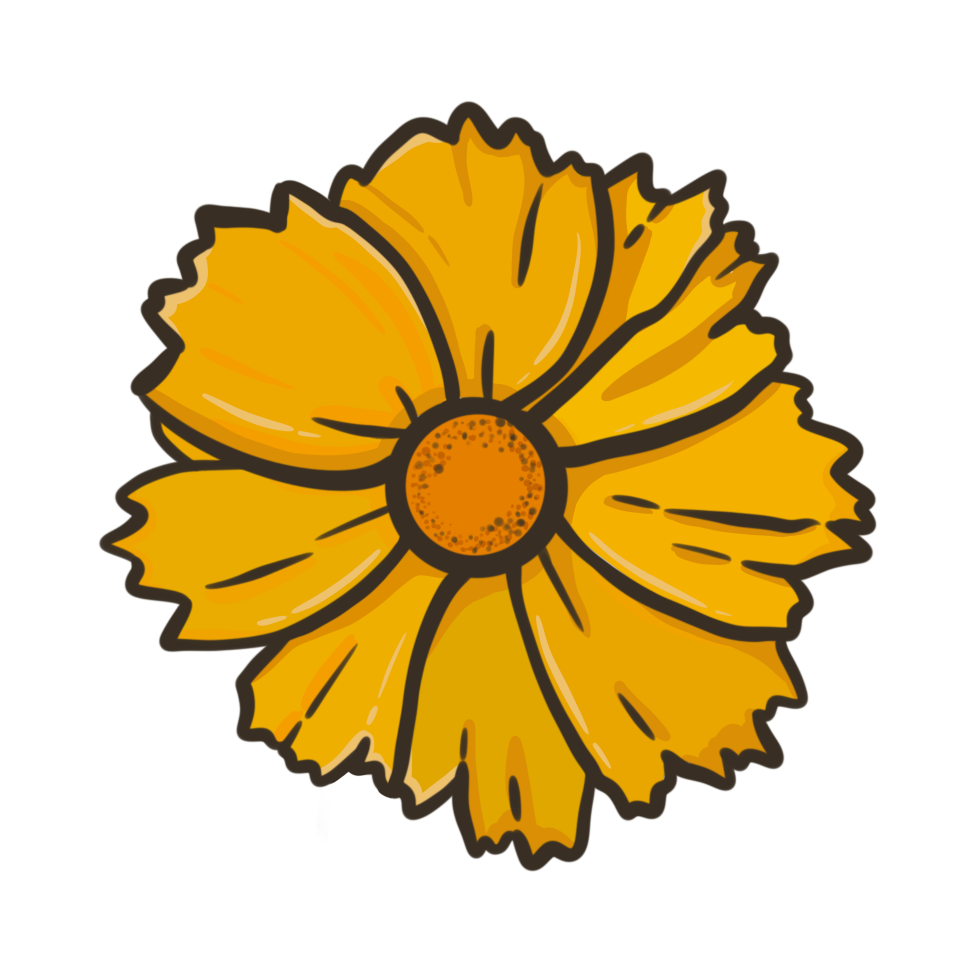 lance leaved coreopsis 26552179 PNG