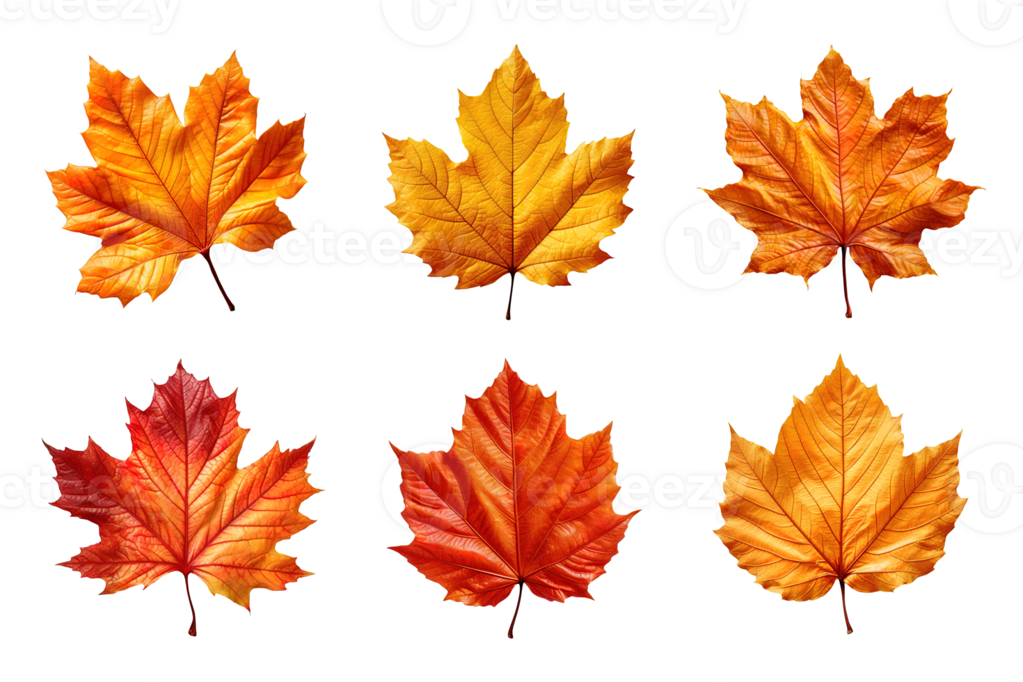 verzameling van herfst bladeren geïsoleerd Aan transparant achtergrond. ai gegenereerd png