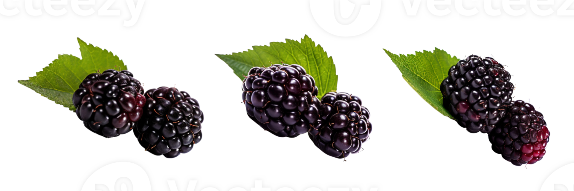 Fresh blackberries with green leaves isolated on transparent background. ai generated png