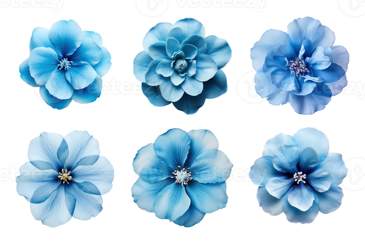 Selection of various blue flowers isolated on transparent background. ai generated png