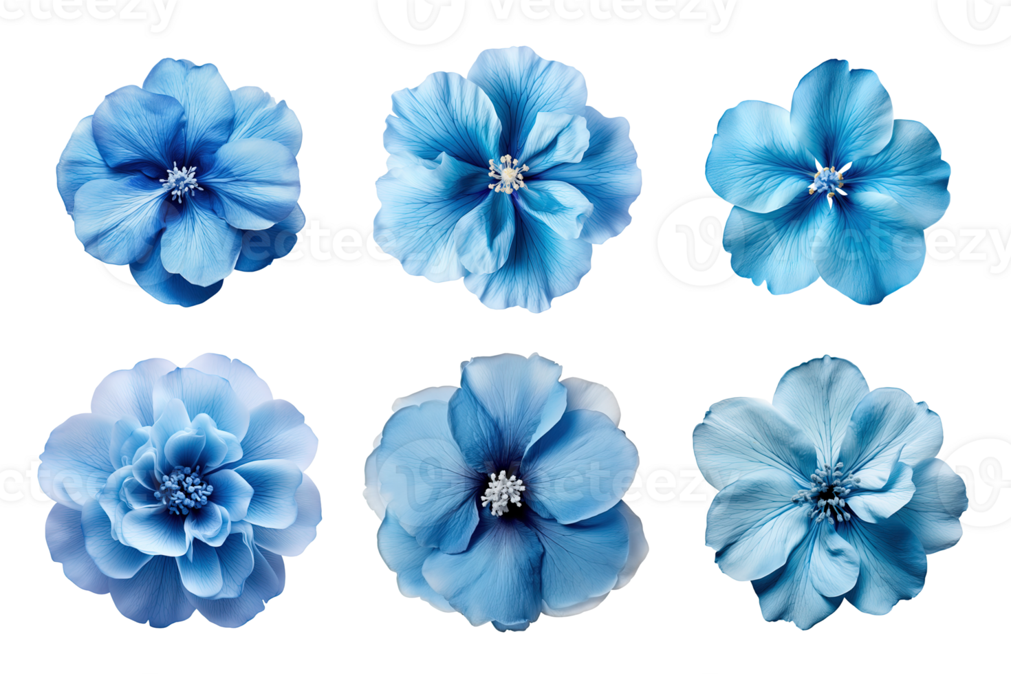 Selection of various blue flowers isolated on transparent background. ai generated png