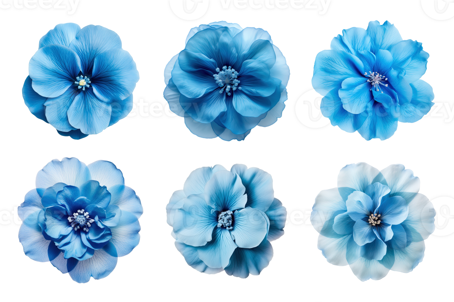 Selection of various blue flowers isolated on transparent background. ai generated png