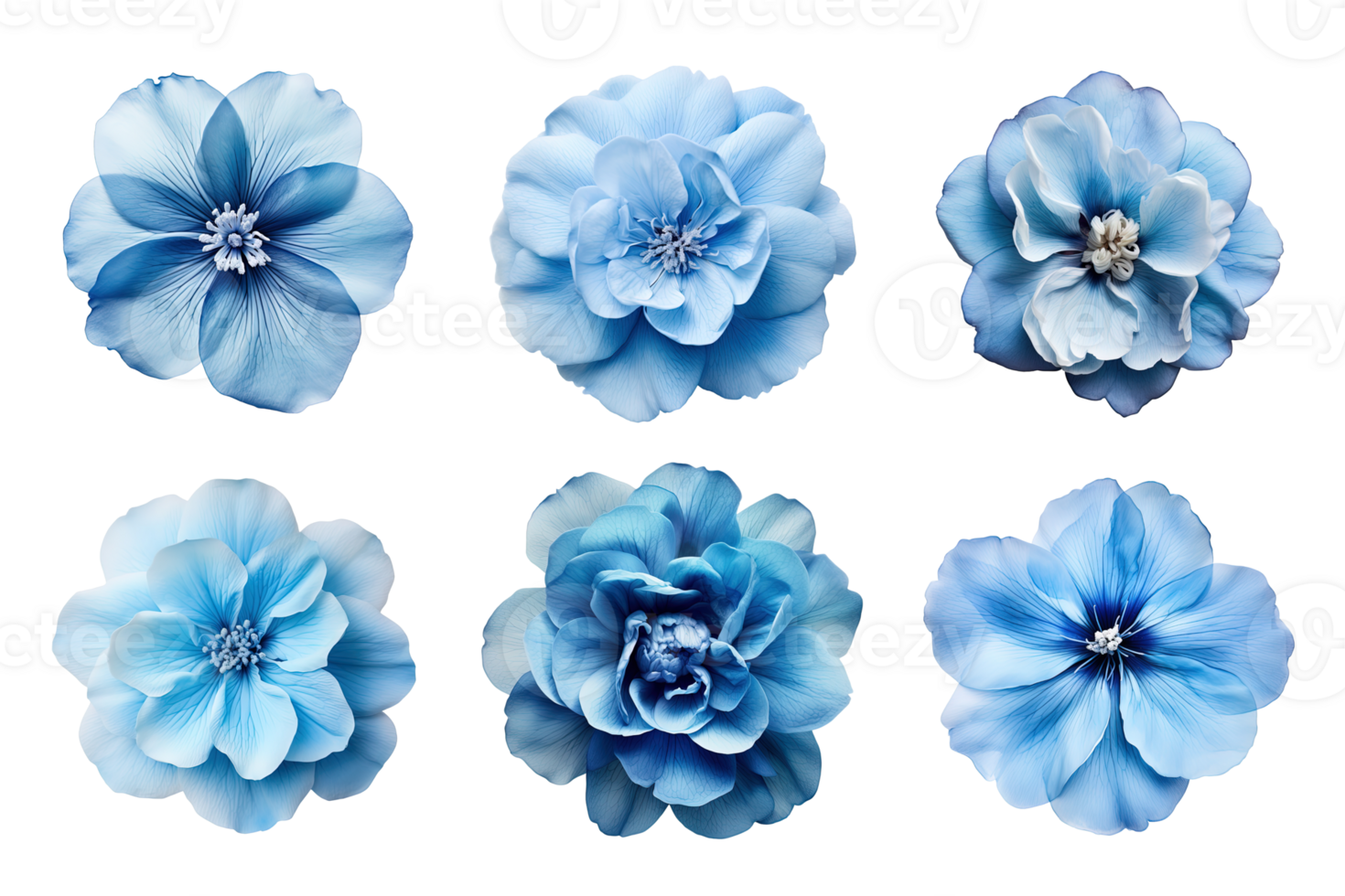 Selection of various blue flowers isolated on transparent background. ai generated png