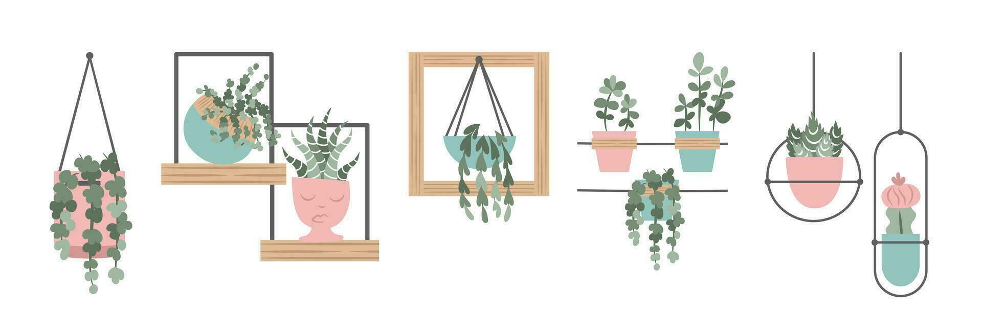Hand drawn indoor house plant in pots collection. vector