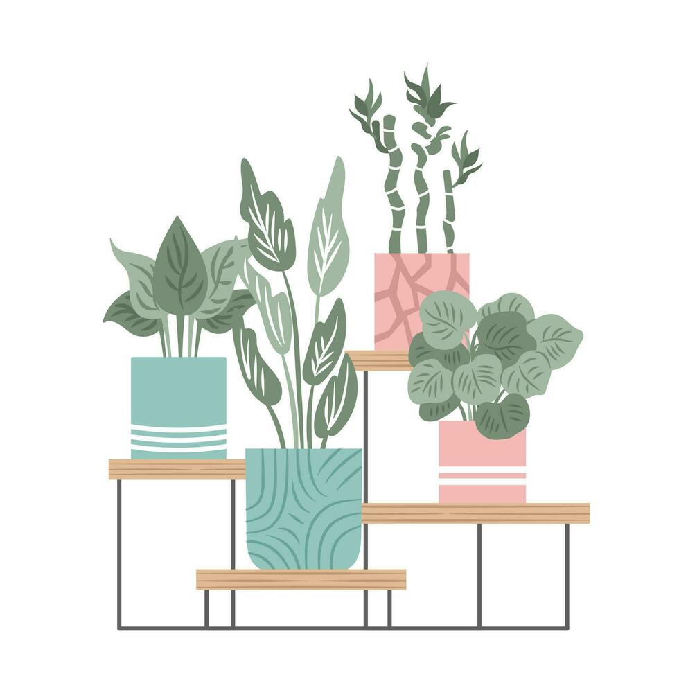 Hand drawn indoor house plant collection. Pots and shelves vector