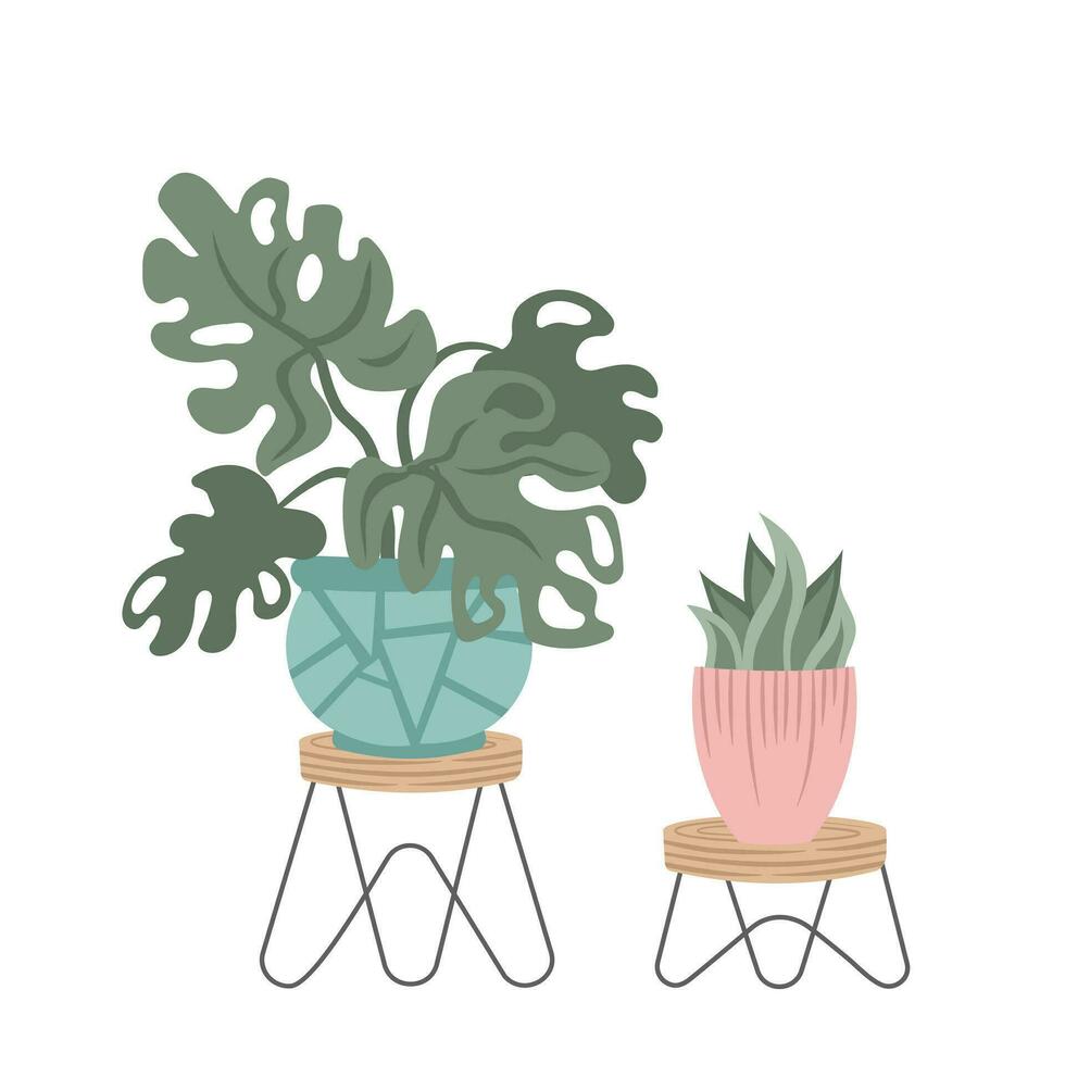 Hand drawn indoor house plant collection. Pots and shelves vector