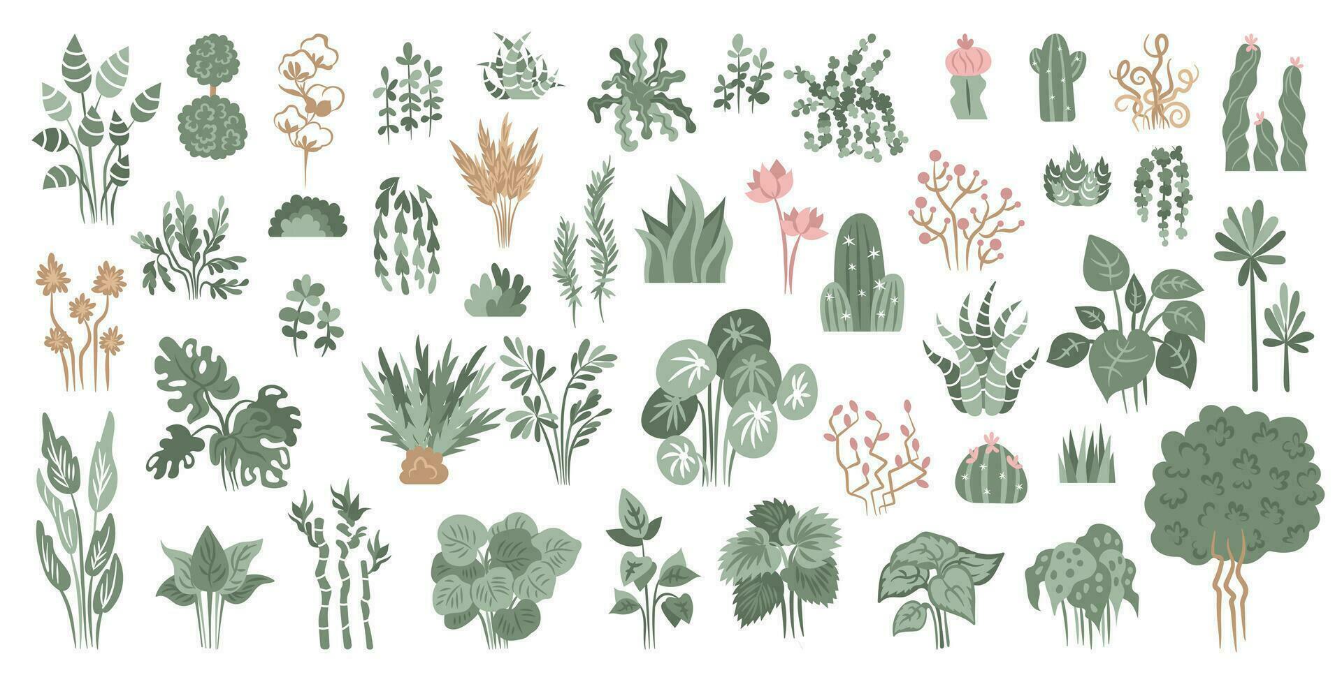 Hand drawn indoor flowers house plants  collection. vector