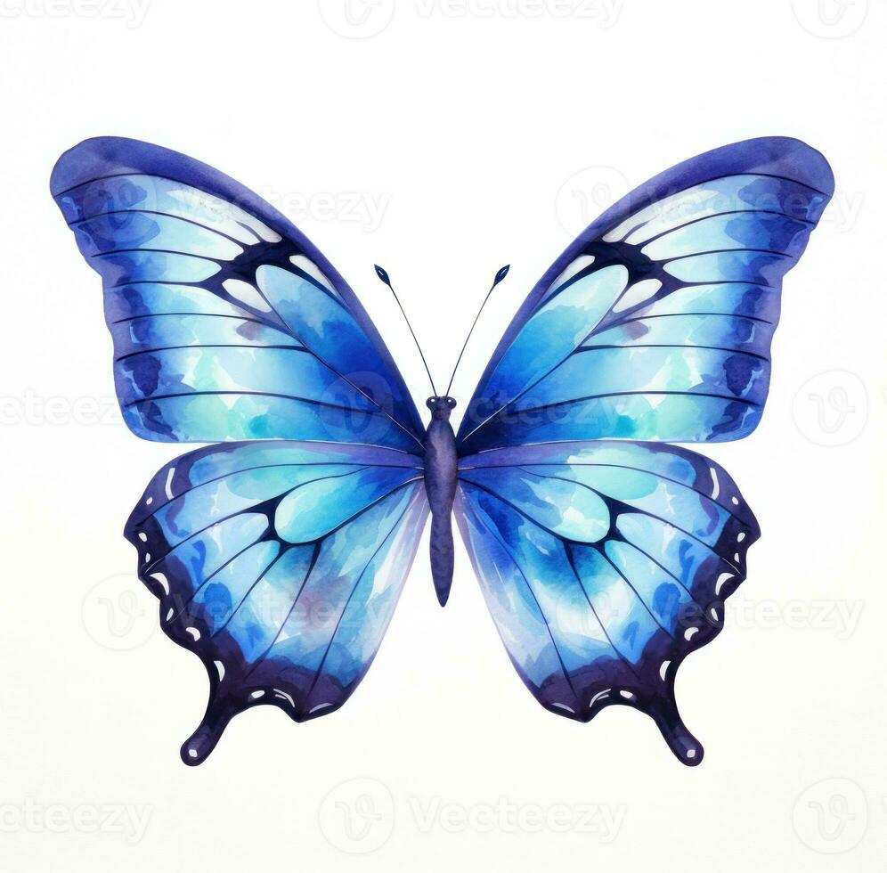 Blue butterfly isolated photo