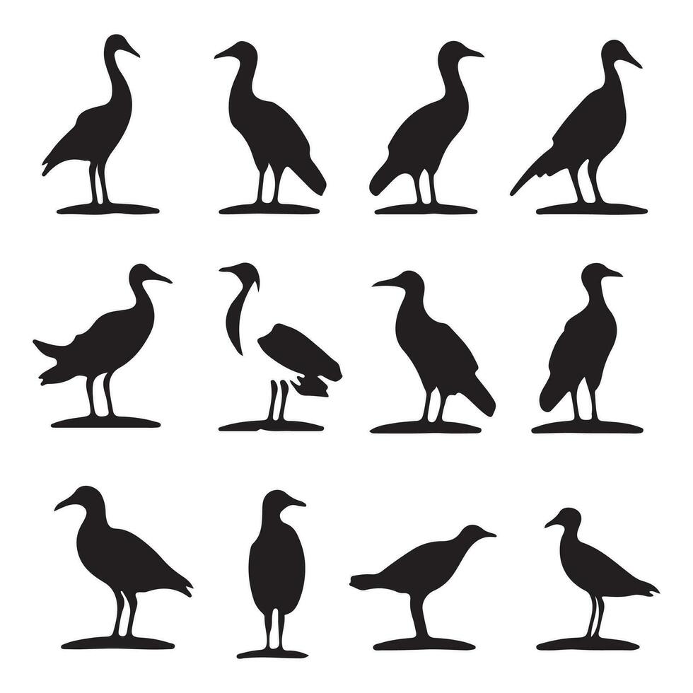 Albatross silhouettes Black flat color simple elegant Albatross animal vector and illustration white background