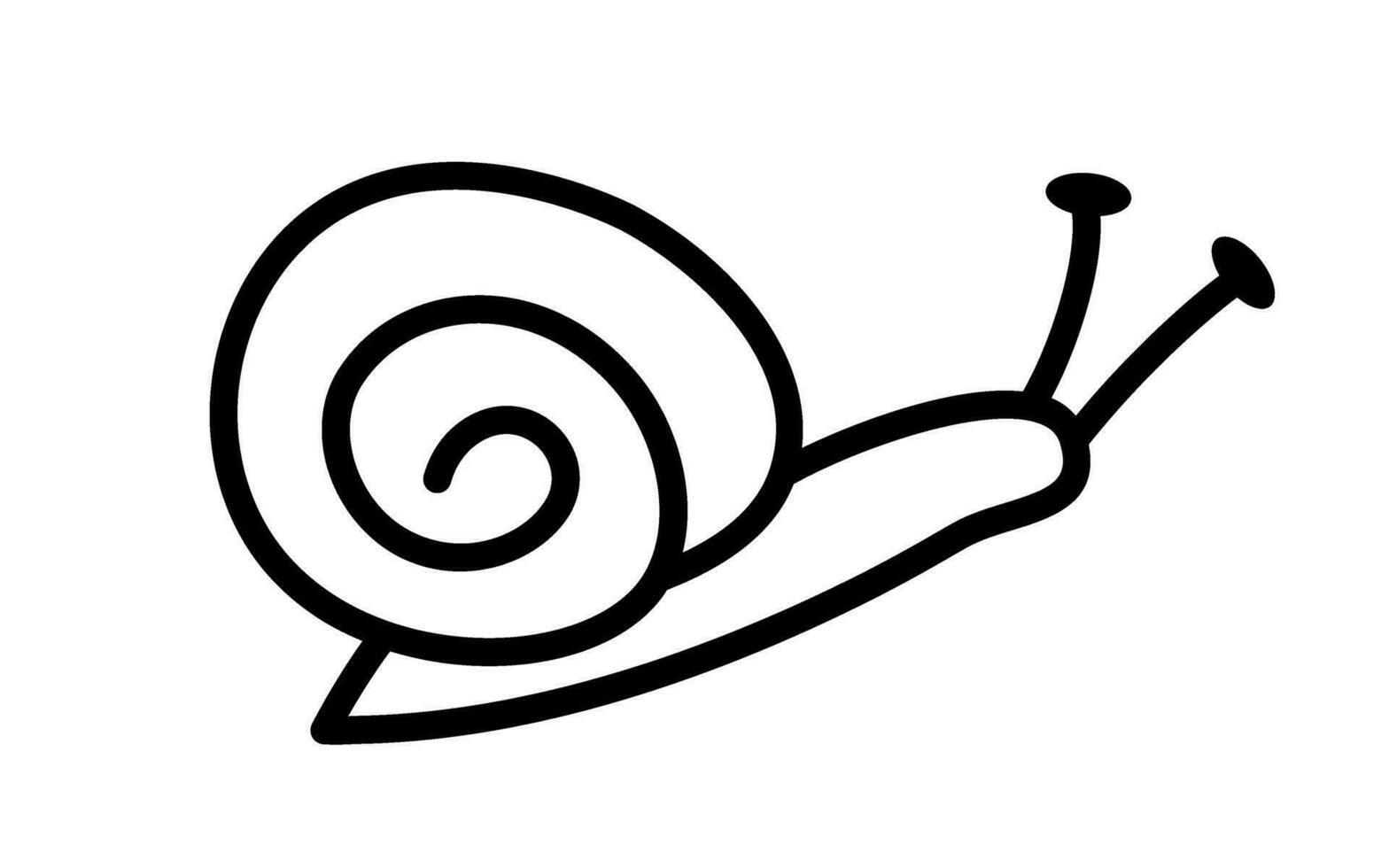 Vector hand drawn doodle snail with shell. Outline spiral shell and snail. Cute design element. Snail In black color.