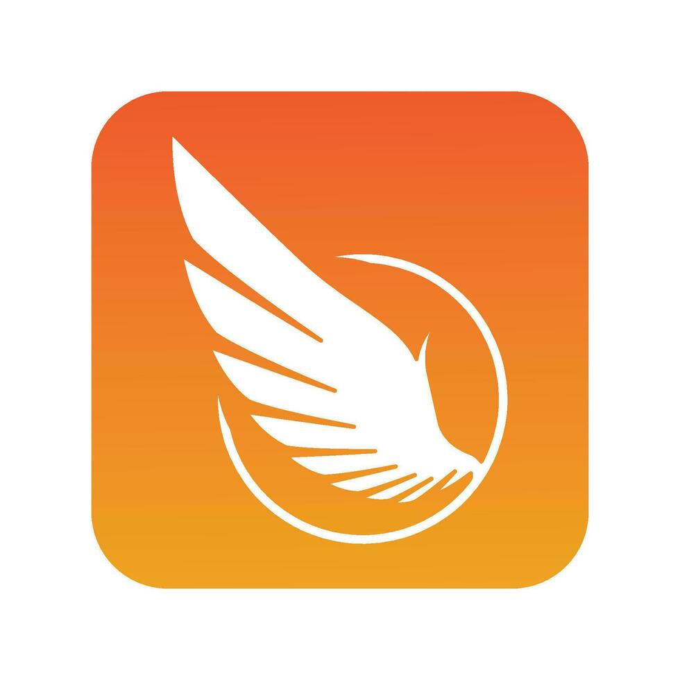 fire bird wings illustrations vector