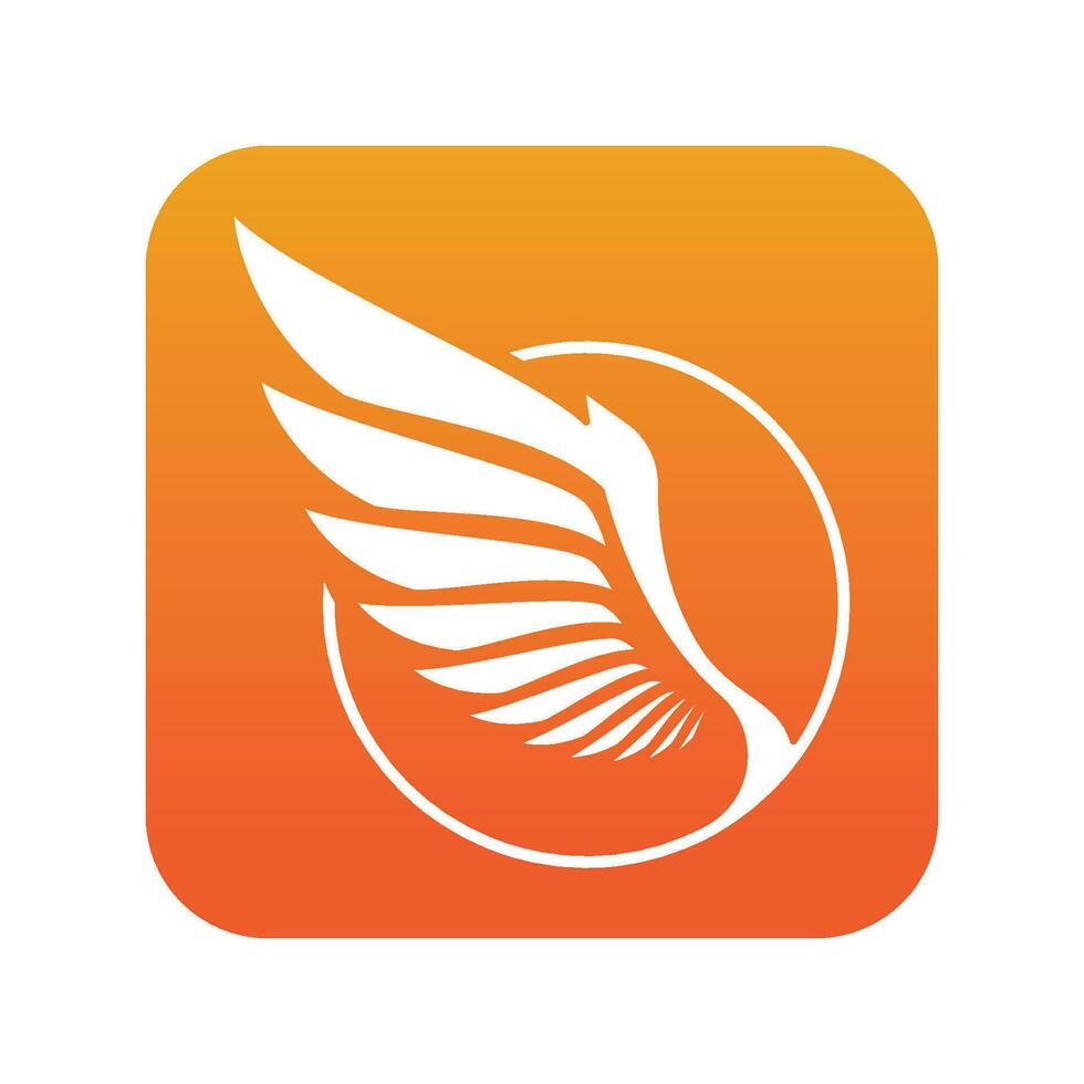 fire bird wings illustrations vector