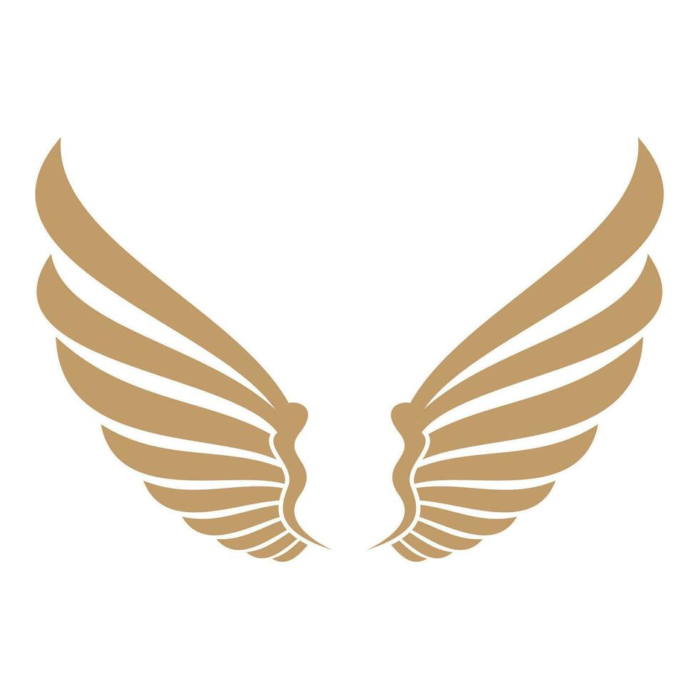 Bird wings illustration logo. vector