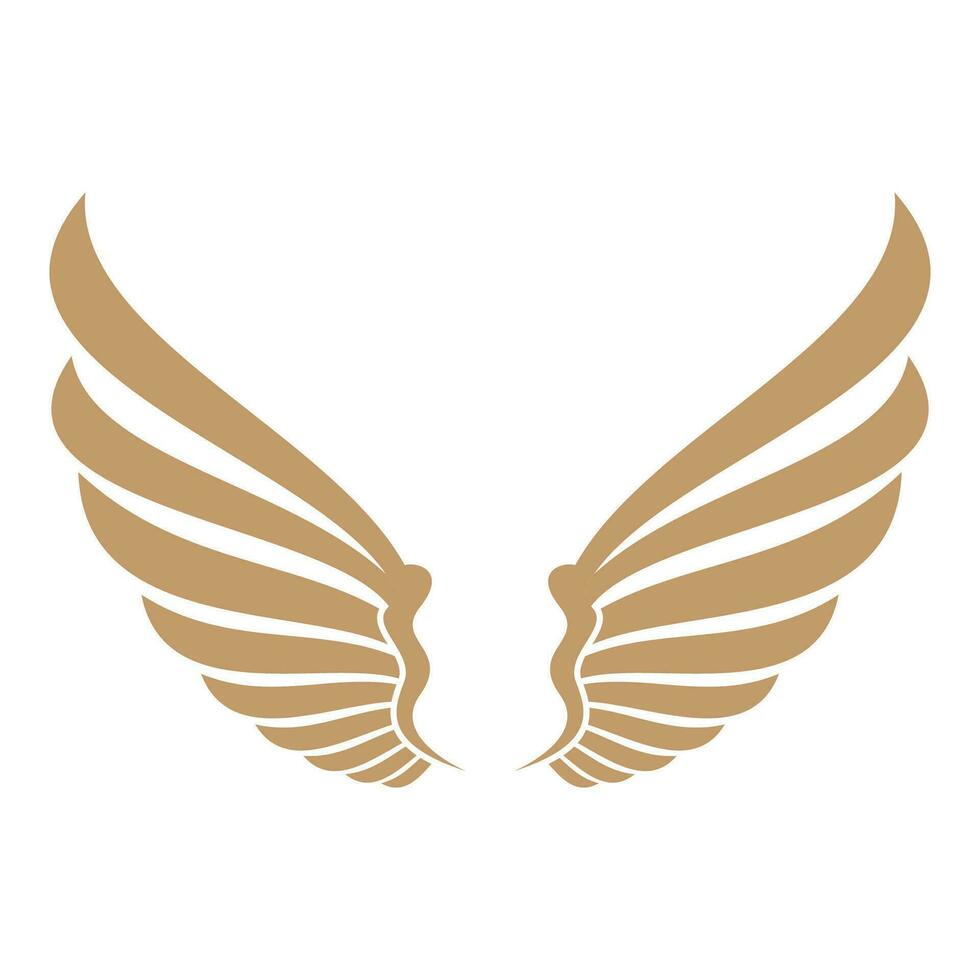 Bird wings illustration logo. vector