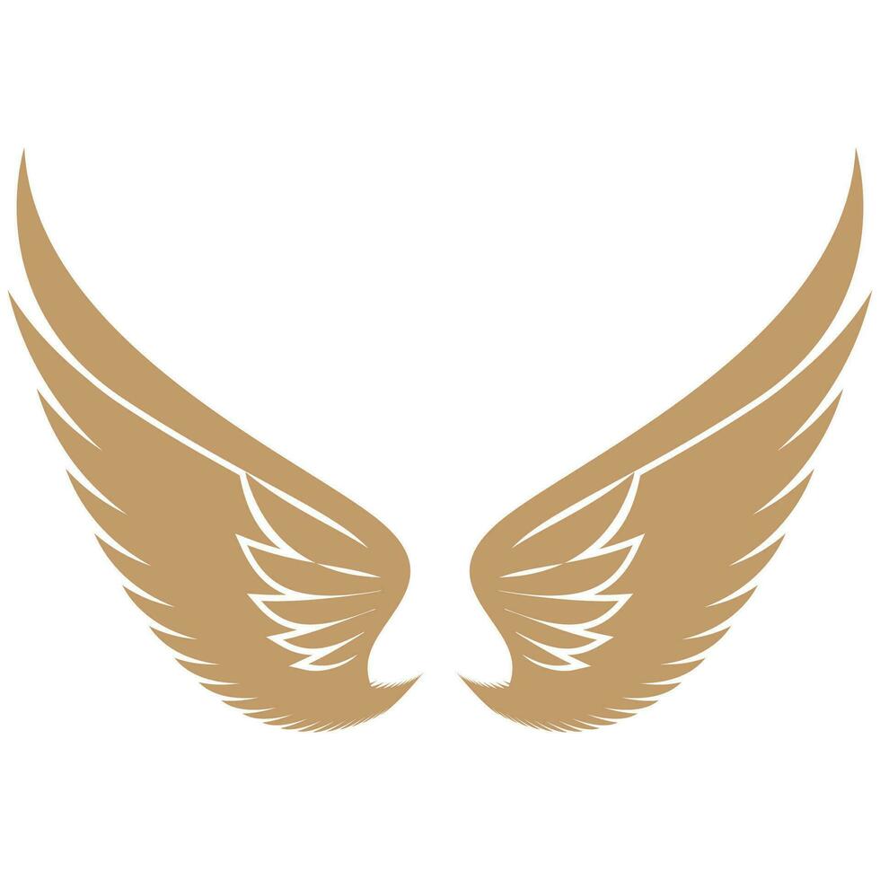 Bird wings illustration logo. vector