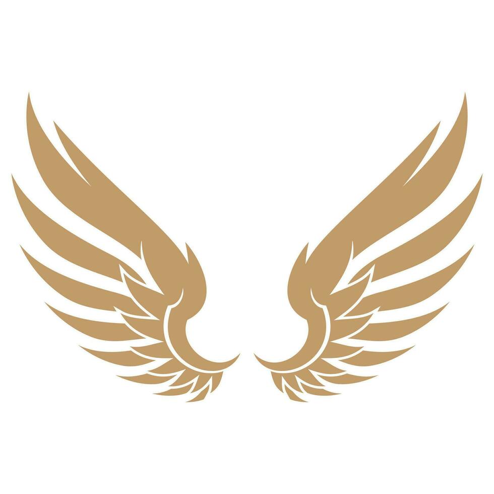 Bird wings illustration logo. vector