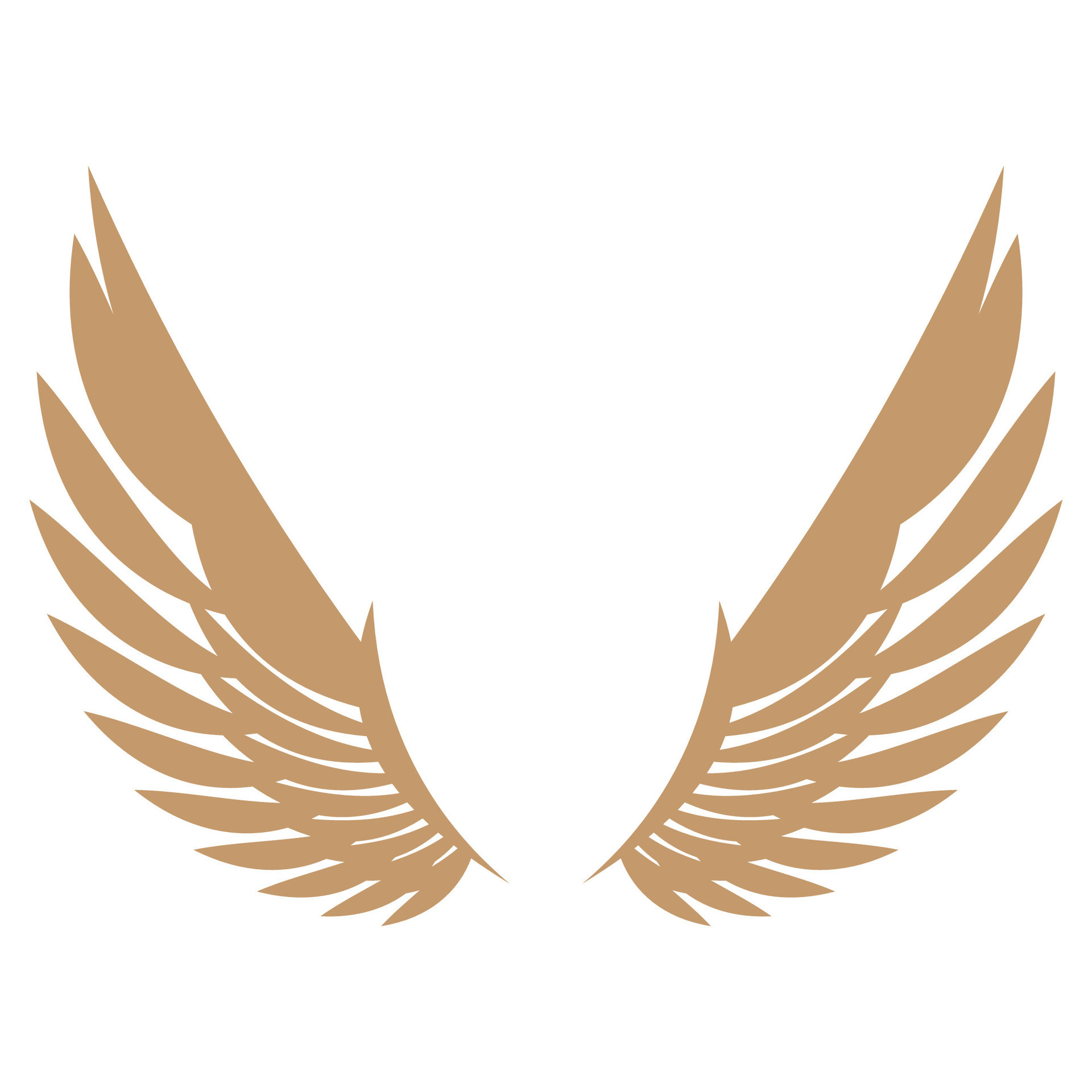 Bird wings illustration logo. 26556678 Vector Art at Vecteezy
