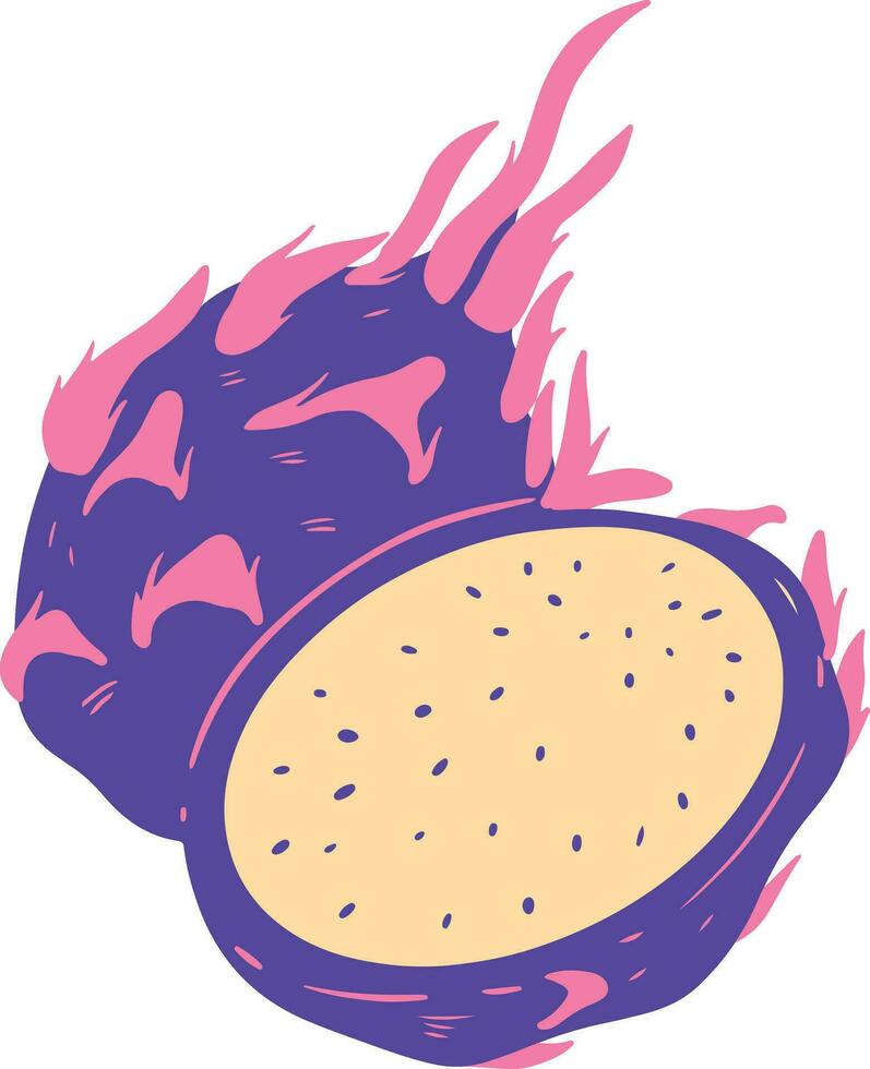 Organic Half Cut Dragon Fruit Illustration vector