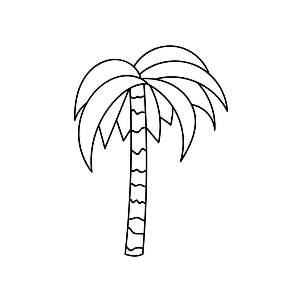 Hand drawn palm tree. Vector clipart illustration isolated on the background. Colorful doodle with hand drawn outline