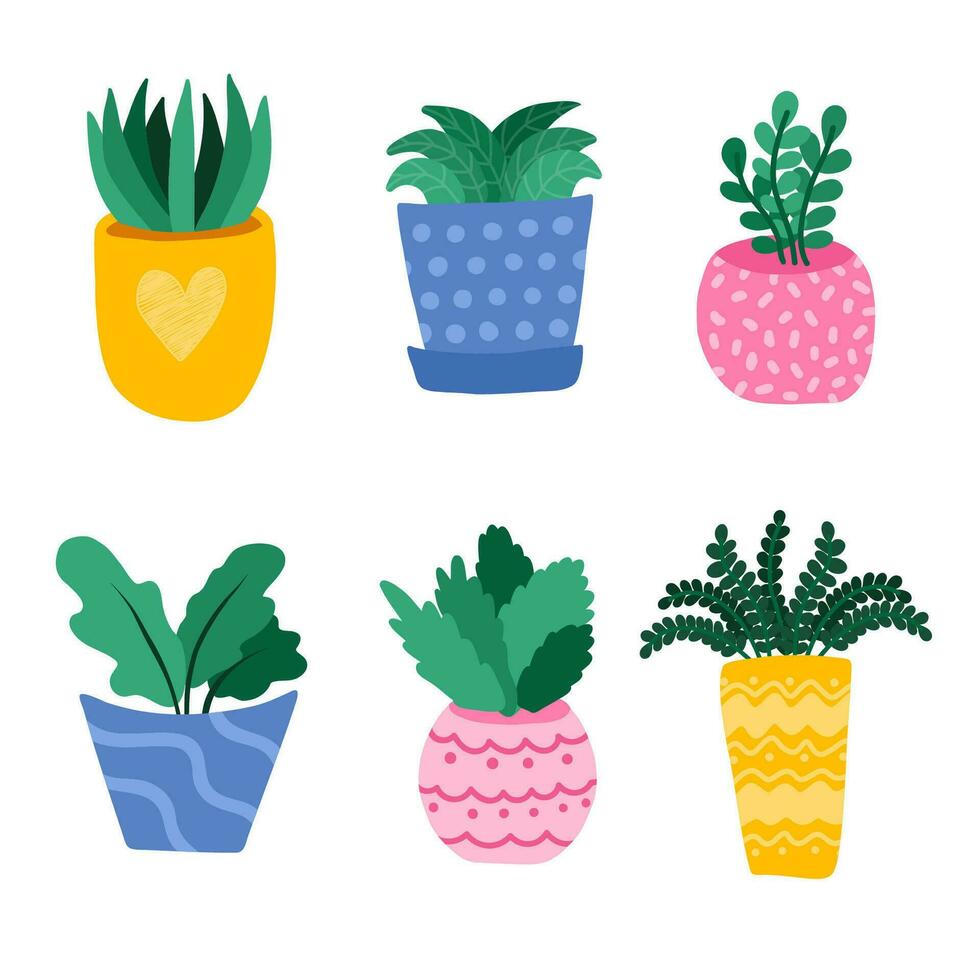 conjunto con casa planta, flores en maceta, follaje plantas en dibujos animados estilo, en brillante colores. mano dibujado vector. diferente tipos de flores en linda ollas. modelo para web, tarjeta, póster, pegatina, bandera. vector