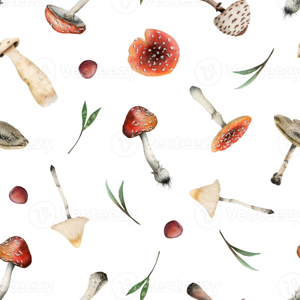 Toadstools and fly agaric watercolor seamless pattern with red and white poisonous mushrooms, grass and berries. Forest illustration for textiles, printing, Halloween packaging png