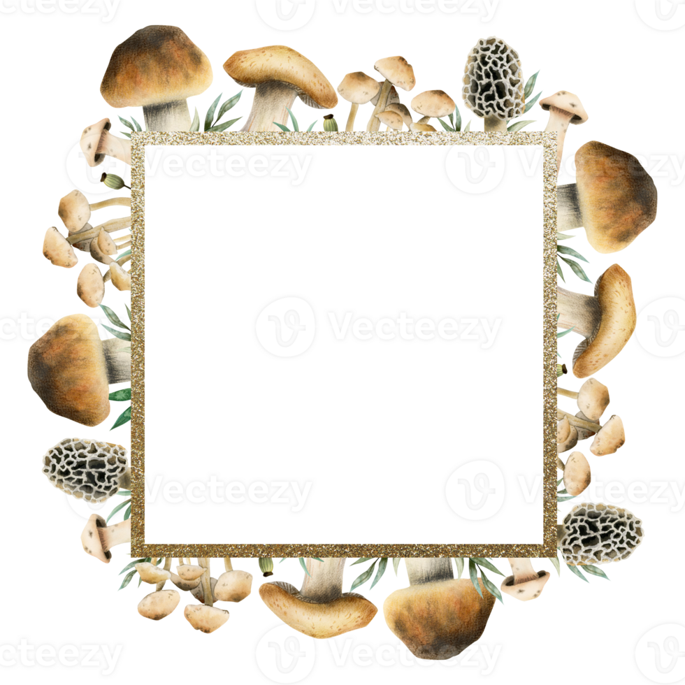 aquarelle comestible champignons carré Cadre modèle avec or frontière illustration pour tomber forêt conceptions, des bois thème cartes et recettes png