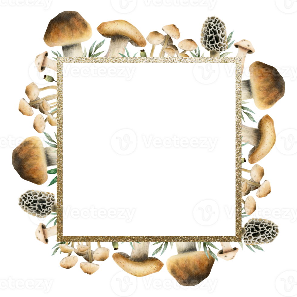 acuarela comestible hongos cuadrado marco modelo con oro frontera ilustración para otoño bosque diseños, bosque tema tarjetas y recetas png
