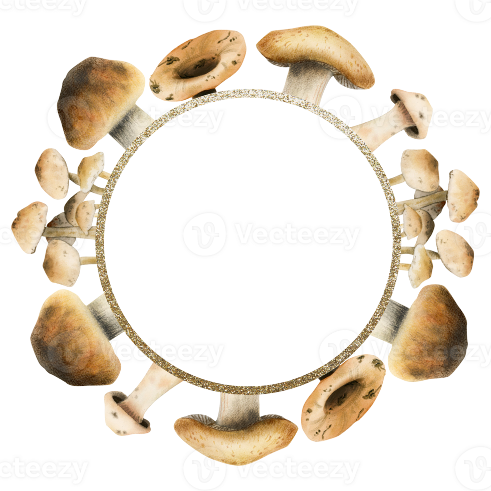 bruin eetbaar champignons ronde kader sjabloon met goud grens waterverf illustratie voor vallen Woud ontwerpen, bos- thema kaarten en recepten png