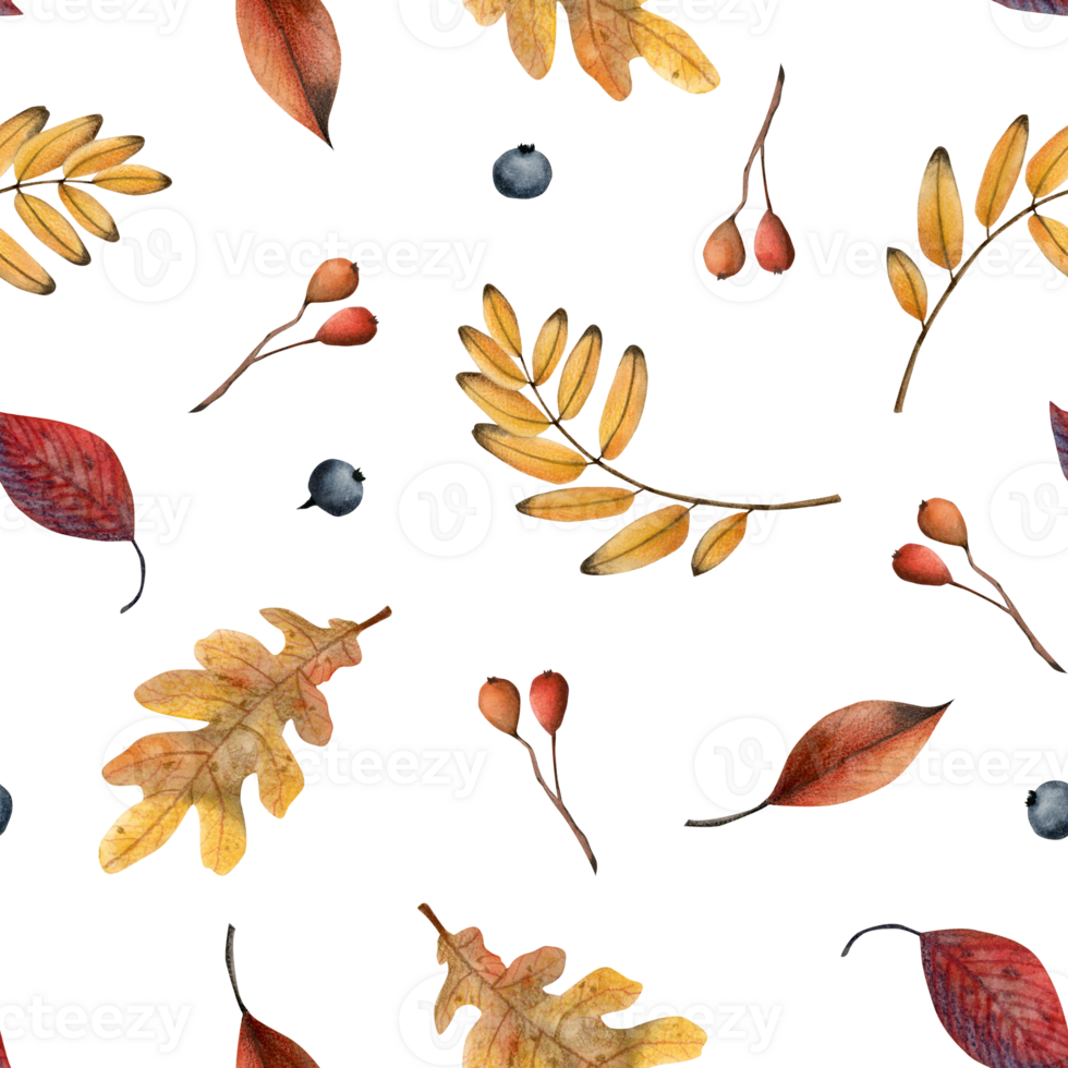gul och röd falla löv och bär sömlös mönster. höst botanisk vattenfärg bakgrund illustration med hand dragen växter för tyger och textilier png