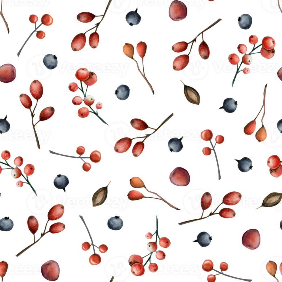 Forest berries watercolor seamless pattern with blueberry, rowan and seeds for autumn fall designs png